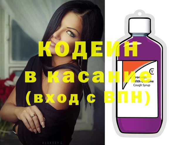 индика Арсеньев