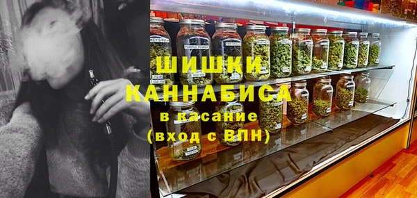 индика Арсеньев