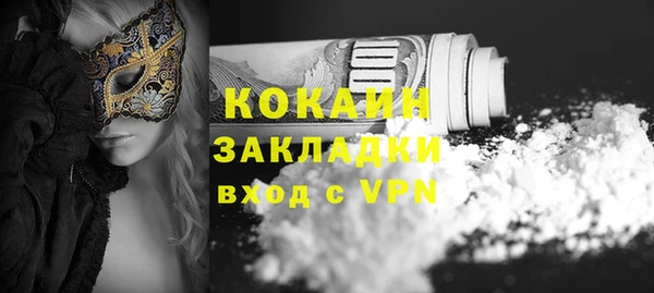 индика Арсеньев
