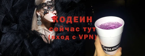 индика Арсеньев
