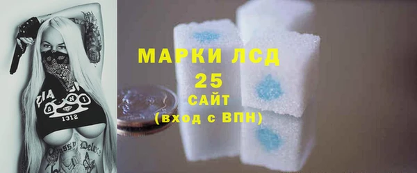 индика Арсеньев