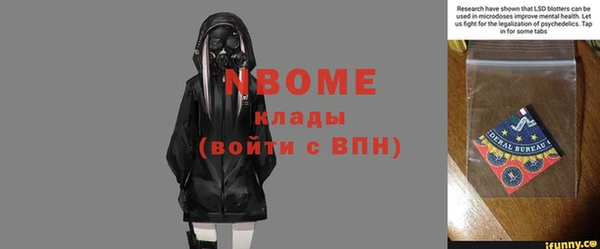 шишки Сосновка