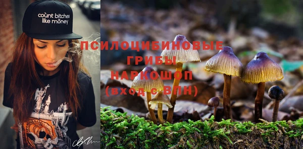ПСИЛОЦИБИНОВЫЕ ГРИБЫ Армянск