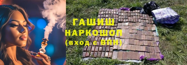 индика Арсеньев