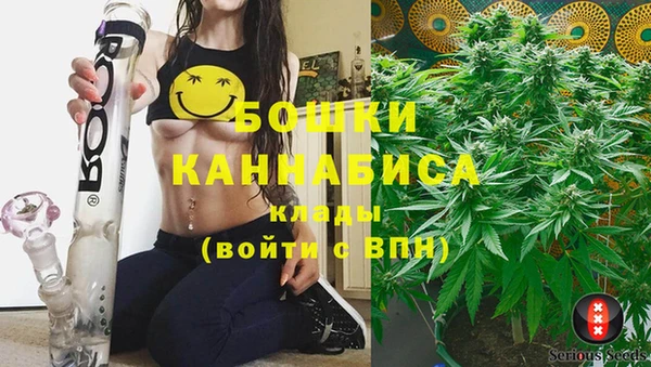 индика Арсеньев