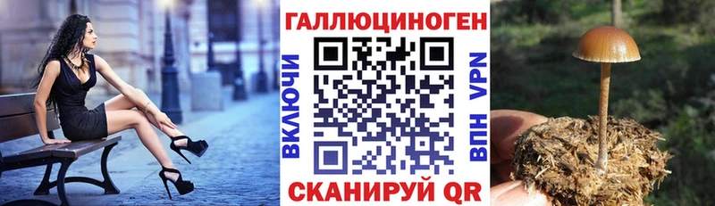 гидра зеркало  Любим  Псилоцибиновые грибы ЛСД 